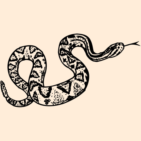 SNAKE011 Thumbnail