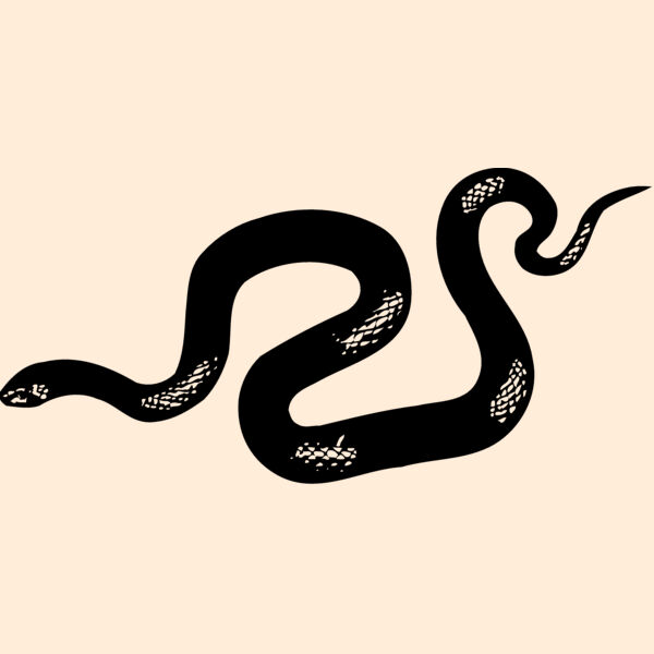 SNAKE013 Thumbnail
