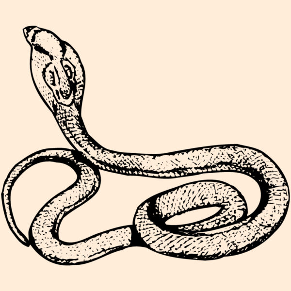 SNAKE014 Thumbnail