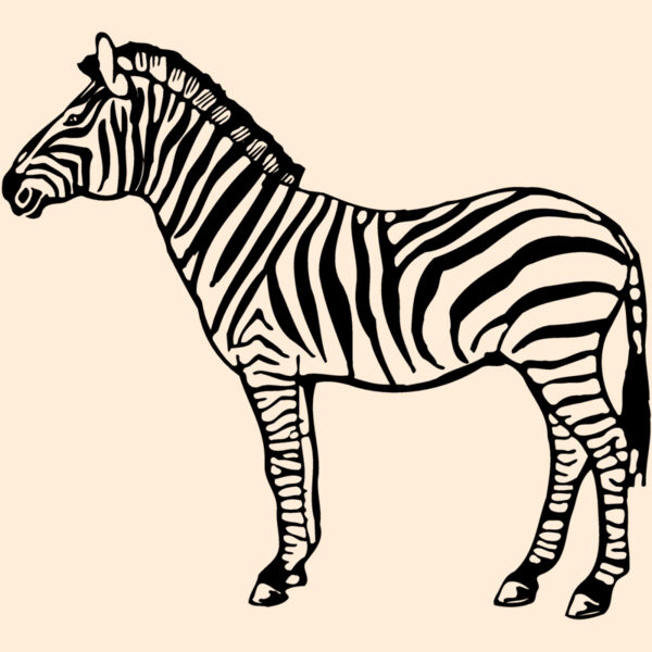 ZEBRA004 Thumbnail