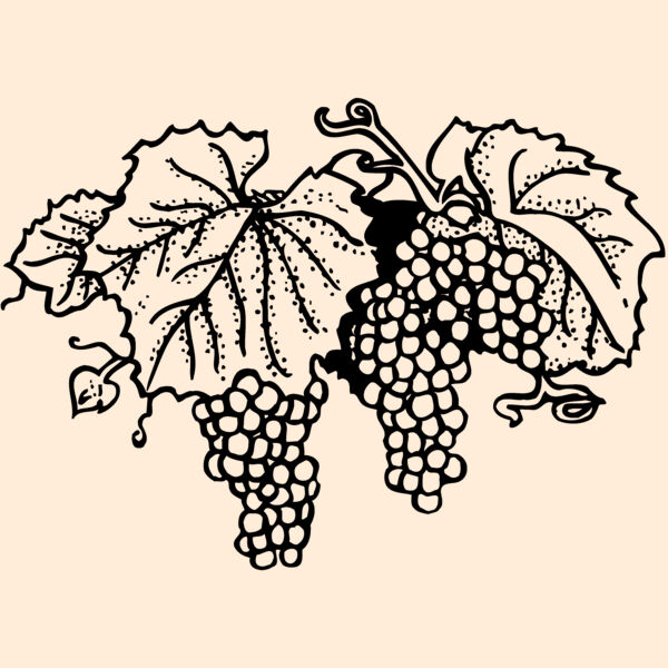 FRUIT005 Thumbnail