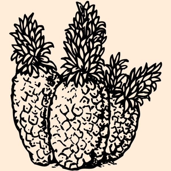 FRUIT039 Thumbnail