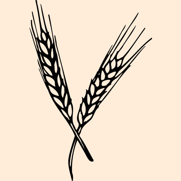 GRAIN004 Thumbnail