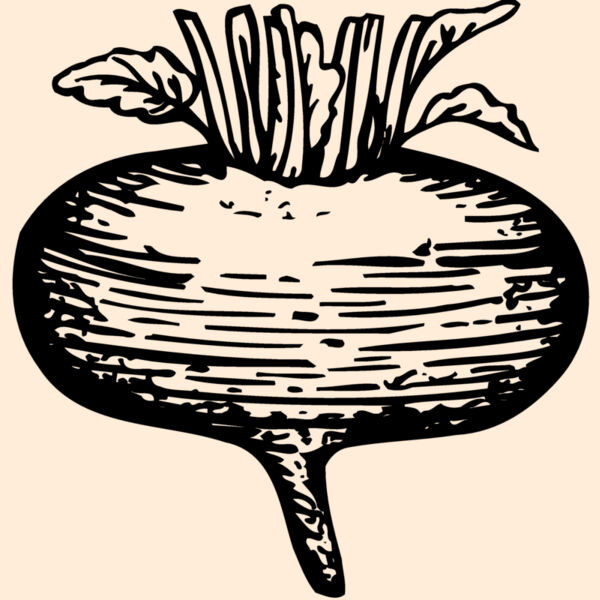 VEG018 Thumbnail