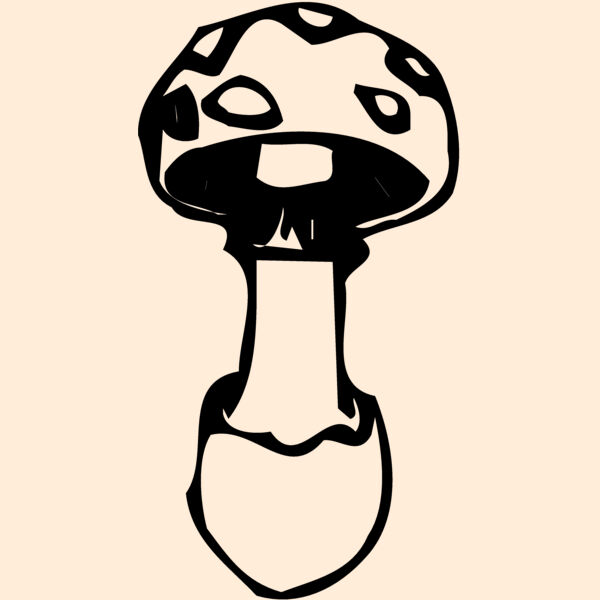 VEG027 Thumbnail