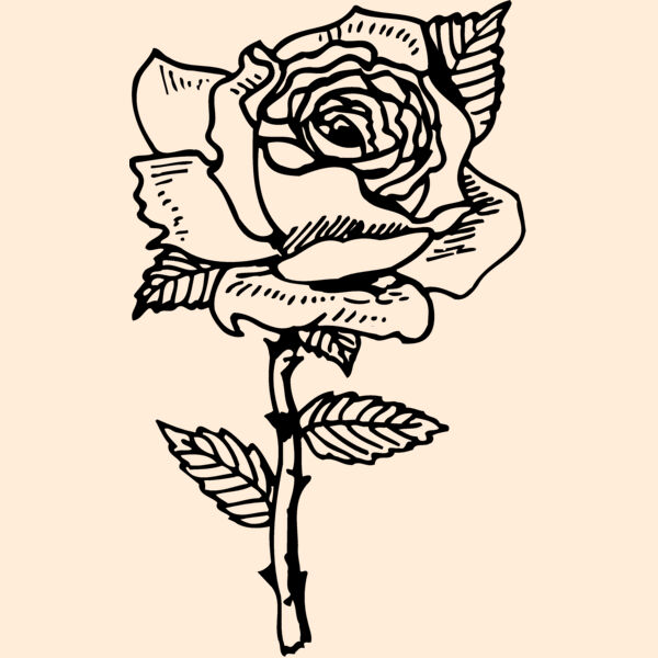 FLOWER04 Thumbnail
