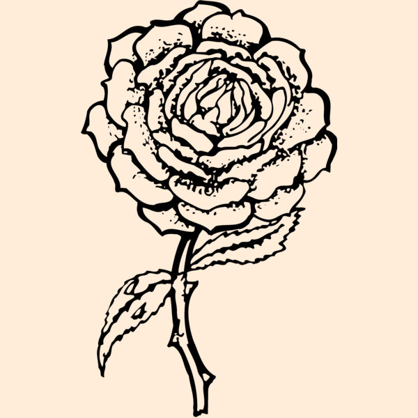 FLOWER05 Thumbnail