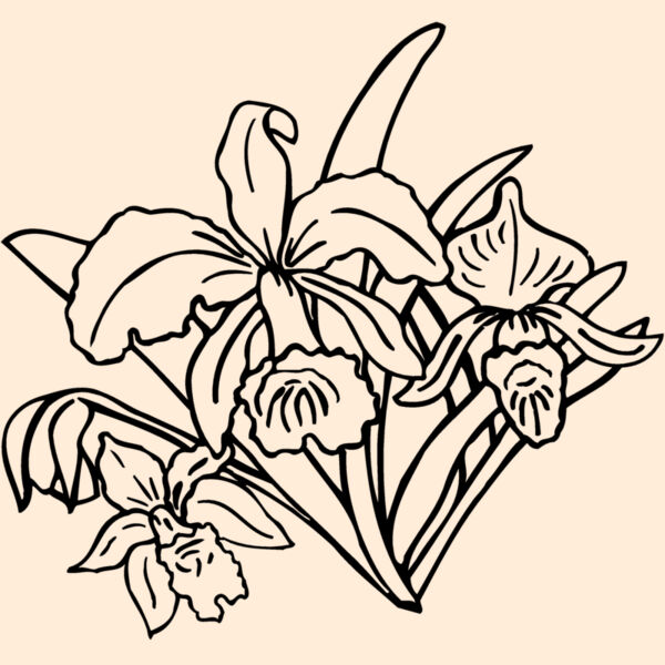 FLOWER18 Thumbnail