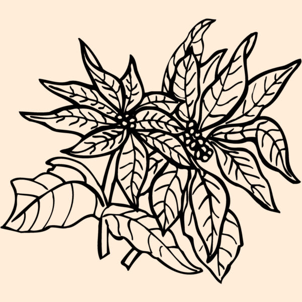FLOWER29 Thumbnail