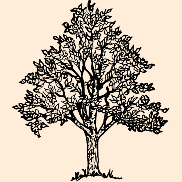 TREE0004 Thumbnail