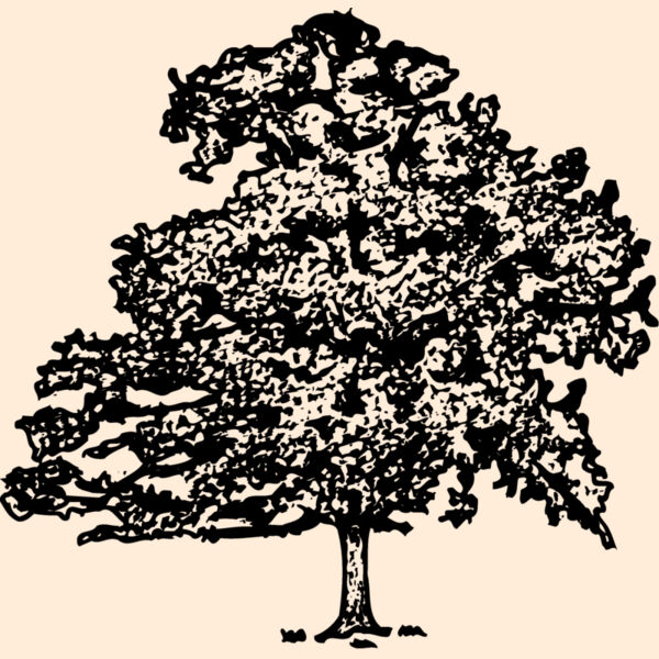 TREE0013 Thumbnail