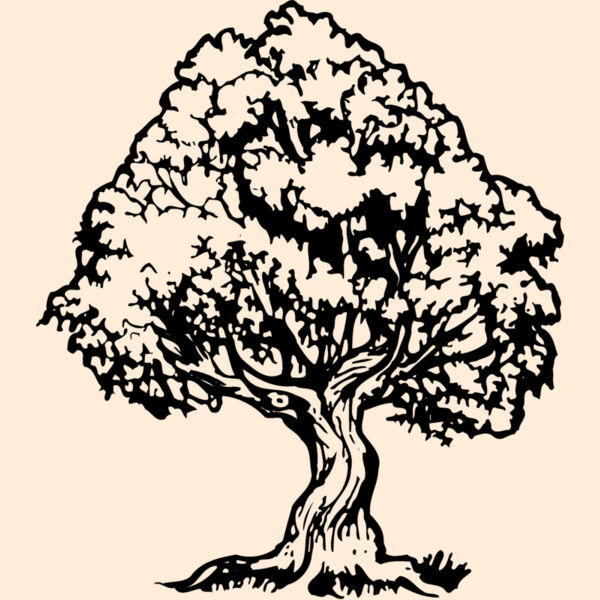 TREE0026 Thumbnail