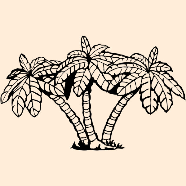 TREE0029 Thumbnail