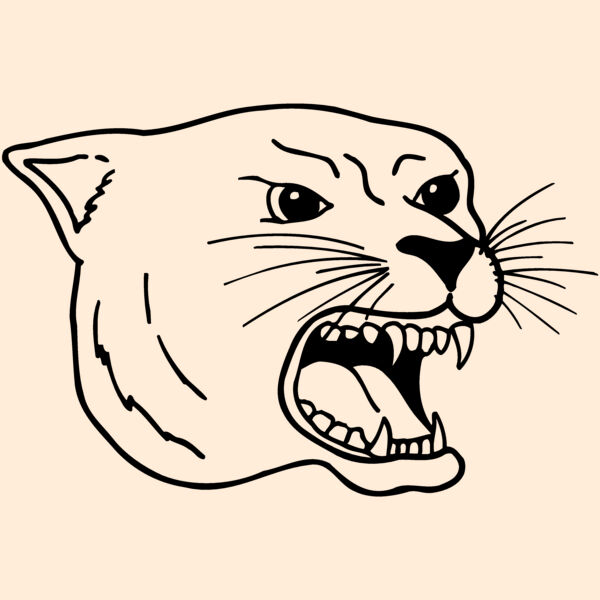 CAT17 Thumbnail